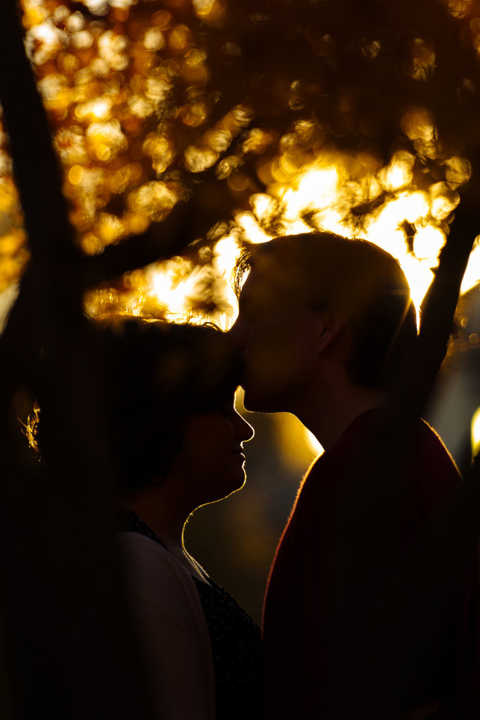 artistic virgina engagement photographer