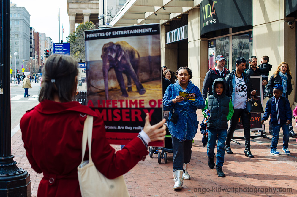 protesters outside Ringling Brothers Circus